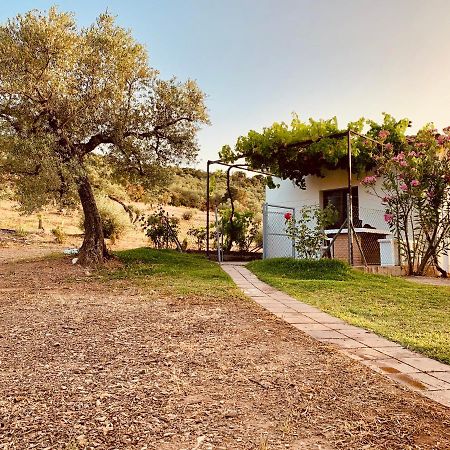 Casa Rural Arroyo Marco Guadalcanal Dış mekan fotoğraf