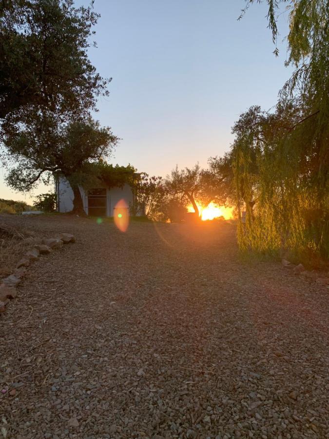 Casa Rural Arroyo Marco Guadalcanal Dış mekan fotoğraf
