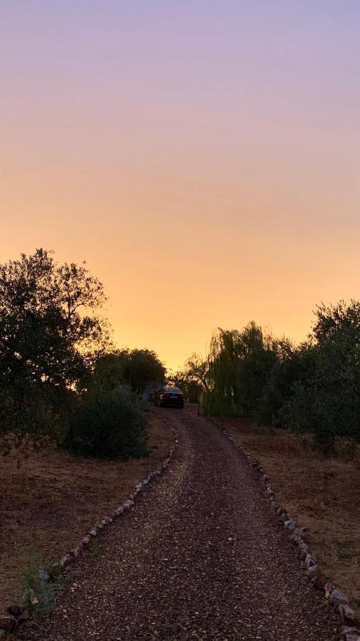 Casa Rural Arroyo Marco Guadalcanal Dış mekan fotoğraf